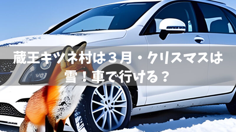 蔵王キツネ村は3月・クリスマスは雪！車で行ける？
