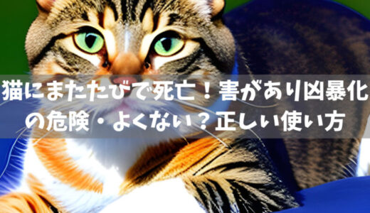 猫にまたたびで死亡！害があり凶暴化の危険・よくない？正しい使い方